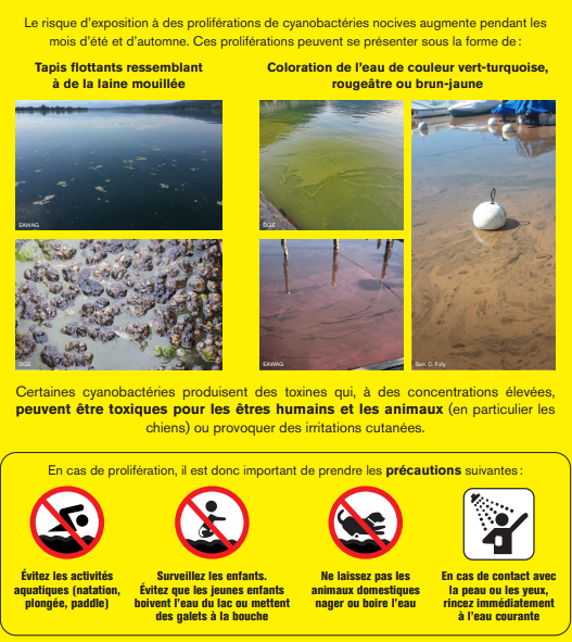 prevention-cyanobacteries.jpeg
